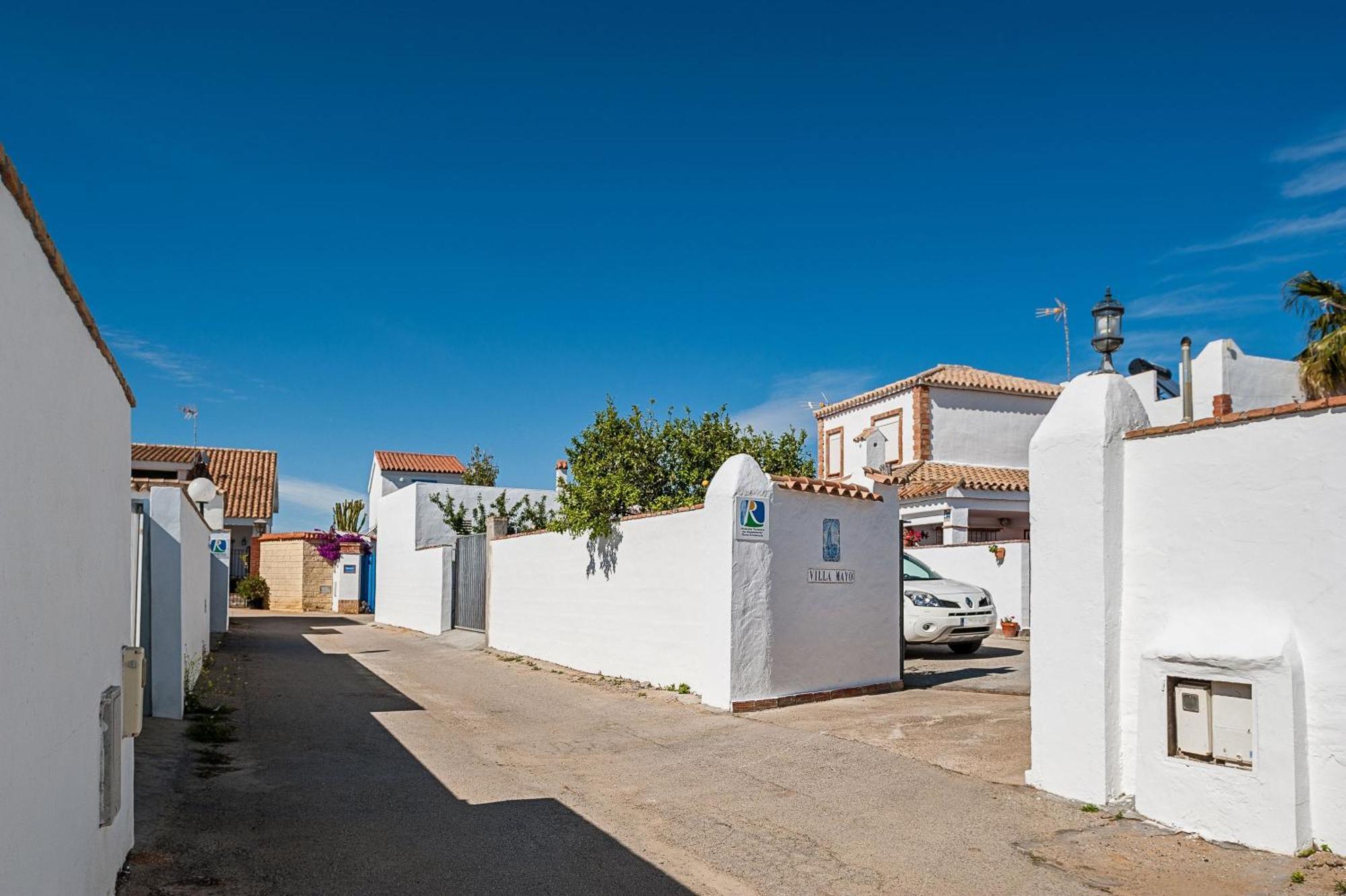 Mayo B Conil De La Frontera